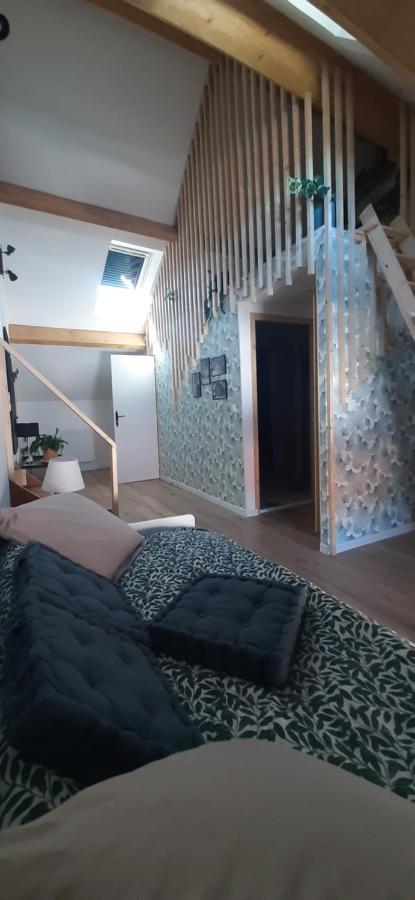 Le Clos Mace - Maison D'Hotes Proche Blois Chambord Saint-Denis-sur-Loire Luaran gambar